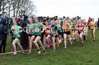 Intermediate girls 2019 New Balance English Schools Cross Country Champs, Temple Newsam, Leeds. Photo:  David T. Hewitson/Sports for All Pics